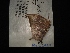  ( - MAL-02960)  @11 [ ] Unspecified (default): All Rights Reserved  Unspecified Unspecified