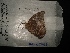  ( - MAL-02961)  @11 [ ] Unspecified (default): All Rights Reserved  Unspecified Unspecified