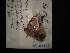  ( - MAL-02962)  @11 [ ] Unspecified (default): All Rights Reserved  Unspecified Unspecified