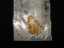  ( - MAL-02994)  @12 [ ] Unspecified (default): All Rights Reserved  Unspecified Unspecified