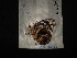  ( - MAL-04044)  @12 [ ] Unspecified (default): All Rights Reserved  Unspecified Unspecified