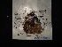  ( - MAL-04054)  @12 [ ] Unspecified (default): All Rights Reserved  Unspecified Unspecified