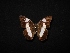  ( - MAL-04158)  @12 [ ] Unspecified (default): All Rights Reserved  Unspecified Unspecified