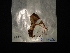  ( - MAL-04160)  @12 [ ] Unspecified (default): All Rights Reserved  Unspecified Unspecified