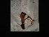  ( - MAL-04161)  @12 [ ] Unspecified (default): All Rights Reserved  Unspecified Unspecified
