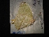  ( - MAL-04263)  @12 [ ] Unspecified (default): All Rights Reserved  Unspecified Unspecified