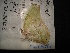  ( - MAL-04264)  @12 [ ] Unspecified (default): All Rights Reserved  Unspecified Unspecified