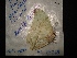 ( - MAL-04269)  @12 [ ] Unspecified (default): All Rights Reserved  Unspecified Unspecified