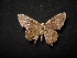  ( - MAL-04280)  @12 [ ] Unspecified (default): All Rights Reserved  Unspecified Unspecified