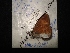  ( - MAL-04321)  @12 [ ] Unspecified (default): All Rights Reserved  Unspecified Unspecified