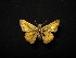  (Hedone - MAL-04385)  @12 [ ] Unspecified (default): All Rights Reserved  Unspecified Unspecified