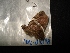  ( - MAL-04398)  @12 [ ] Unspecified (default): All Rights Reserved  Unspecified Unspecified