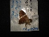  ( - MAL-04399)  @12 [ ] Unspecified (default): All Rights Reserved  Unspecified Unspecified