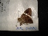  ( - MAL-04400)  @12 [ ] Unspecified (default): All Rights Reserved  Unspecified Unspecified