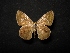  ( - MAL-04404)  @11 [ ] Unspecified (default): All Rights Reserved  Unspecified Unspecified