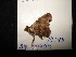  ( - MAL-04405)  @11 [ ] Unspecified (default): All Rights Reserved  Unspecified Unspecified