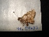  ( - MAL-04407)  @11 [ ] Unspecified (default): All Rights Reserved  Unspecified Unspecified