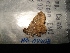  ( - MAL-04408)  @11 [ ] Unspecified (default): All Rights Reserved  Unspecified Unspecified