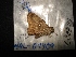 ( - MAL-04409)  @11 [ ] Unspecified (default): All Rights Reserved  Unspecified Unspecified