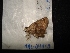  ( - MAL-04410)  @11 [ ] Unspecified (default): All Rights Reserved  Unspecified Unspecified