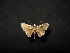  ( - MAL-04413)  @12 [ ] Unspecified (default): All Rights Reserved  Unspecified Unspecified