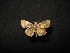  ( - MAL-04414)  @12 [ ] Unspecified (default): All Rights Reserved  Unspecified Unspecified