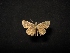  ( - MAL-04415)  @12 [ ] Unspecified (default): All Rights Reserved  Unspecified Unspecified