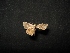  ( - MAL-04416)  @12 [ ] Unspecified (default): All Rights Reserved  Unspecified Unspecified