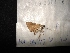  ( - MAL-04417)  @12 [ ] Unspecified (default): All Rights Reserved  Unspecified Unspecified