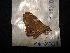  ( - MAL-04439)  @12 [ ] Unspecified (default): All Rights Reserved  Unspecified Unspecified