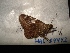  ( - MAL-04442)  @12 [ ] Unspecified (default): All Rights Reserved  Unspecified Unspecified