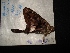  ( - MAL-04486)  @12 [ ] Unspecified (default): All Rights Reserved  Unspecified Unspecified