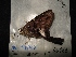  ( - MAL-04487)  @12 [ ] Unspecified (default): All Rights Reserved  Unspecified Unspecified