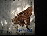  ( - MAL-04488)  @12 [ ] Unspecified (default): All Rights Reserved  Unspecified Unspecified