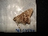  ( - MAL-04494)  @12 [ ] Unspecified (default): All Rights Reserved  Unspecified Unspecified
