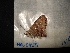  ( - MAL-04497)  @12 [ ] Unspecified (default): All Rights Reserved  Unspecified Unspecified