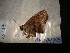  ( - MAL-04498)  @12 [ ] Unspecified (default): All Rights Reserved  Unspecified Unspecified