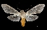  ( - MAL-03330)  @14 [ ] Unspecified (default): All Rights Reserved  Unspecified Unspecified