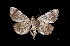  ( - MAL-03283)  @13 [ ] Unspecified (default): All Rights Reserved  Unspecified Unspecified