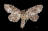  ( - MAL-03388)  @13 [ ] Unspecified (default): All Rights Reserved  Unspecified Unspecified