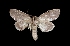 ( - MAL-03388)  @13 [ ] Unspecified (default): All Rights Reserved  Unspecified Unspecified