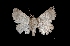  ( - MAL-03310)  @13 [ ] Unspecified (default): All Rights Reserved  Unspecified Unspecified