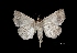  ( - MAL-03311)  @13 [ ] Unspecified (default): All Rights Reserved  Unspecified Unspecified