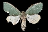  ( - MAL-03378)  @13 [ ] Unspecified (default): All Rights Reserved  Unspecified Unspecified