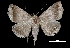  ( - MAL-03316)  @13 [ ] Unspecified (default): All Rights Reserved  Unspecified Unspecified