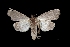  ( - MAL-03322)  @13 [ ] Unspecified (default): All Rights Reserved  Unspecified Unspecified