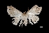  ( - MAL-03295)  @13 [ ] Unspecified (default): All Rights Reserved  Unspecified Unspecified
