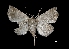  ( - MAL-03294)  @13 [ ] Unspecified (default): All Rights Reserved  Unspecified Unspecified