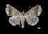  ( - MAL-03320)  @13 [ ] Unspecified (default): All Rights Reserved  Unspecified Unspecified