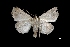  ( - MAL-03320)  @13 [ ] Unspecified (default): All Rights Reserved  Unspecified Unspecified